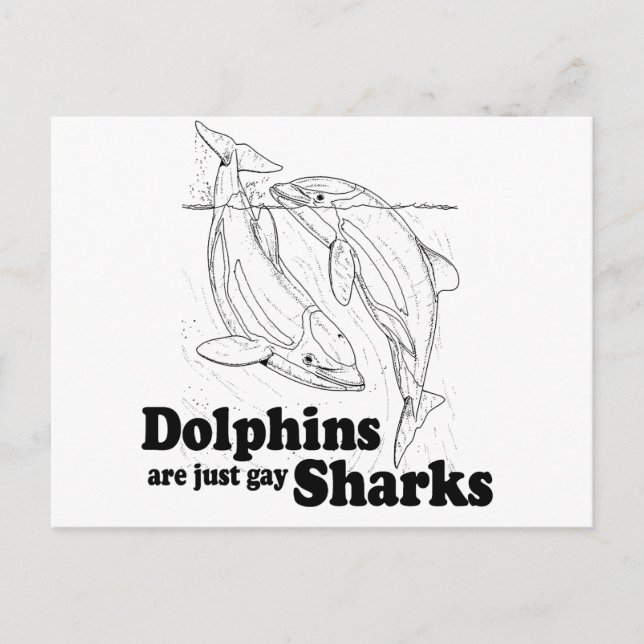 Dolphins are gay sharks postcard (Front)