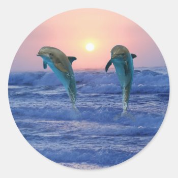 Dolphins At Sunrise Classic Round Sticker by laureenr at Zazzle