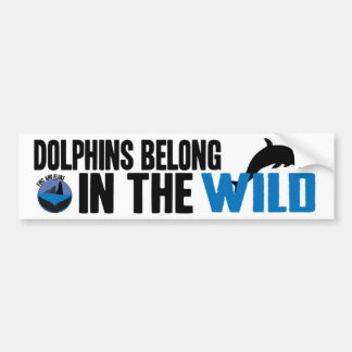 Dolphins Belong in the Wild Bumper Sticker