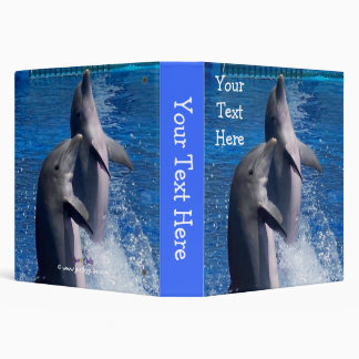 Dolphins Binder