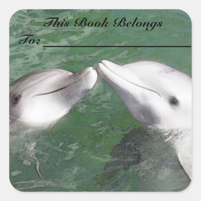 Dolphins Book Label (Front)