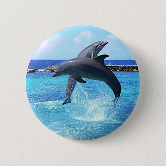 Dolphins Button (Front)