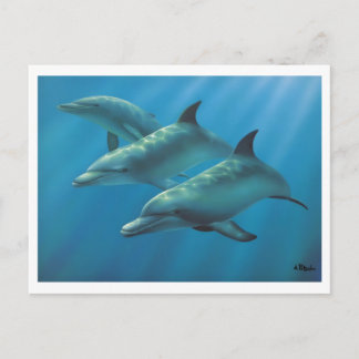 Dolphins by Andrew Patsalou Postcard