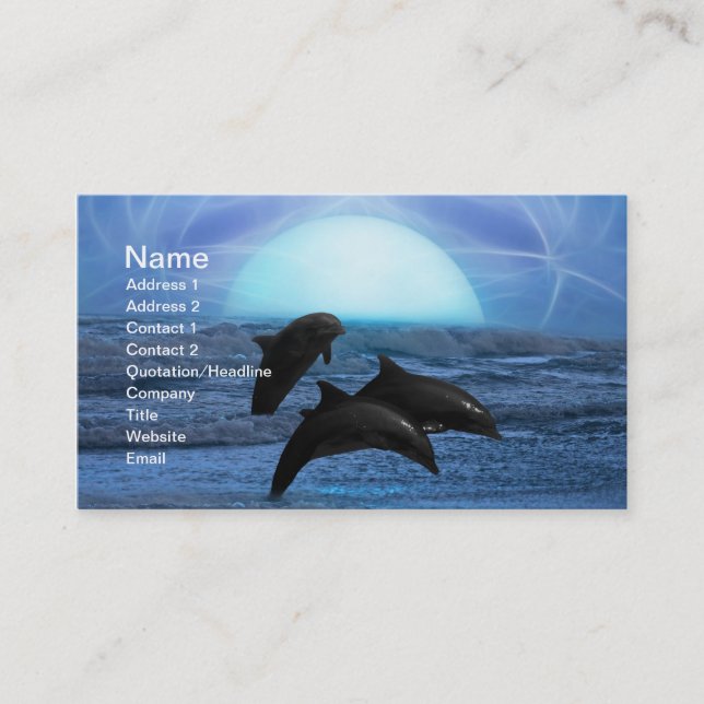 Dolphins by moonlight business card (Front)