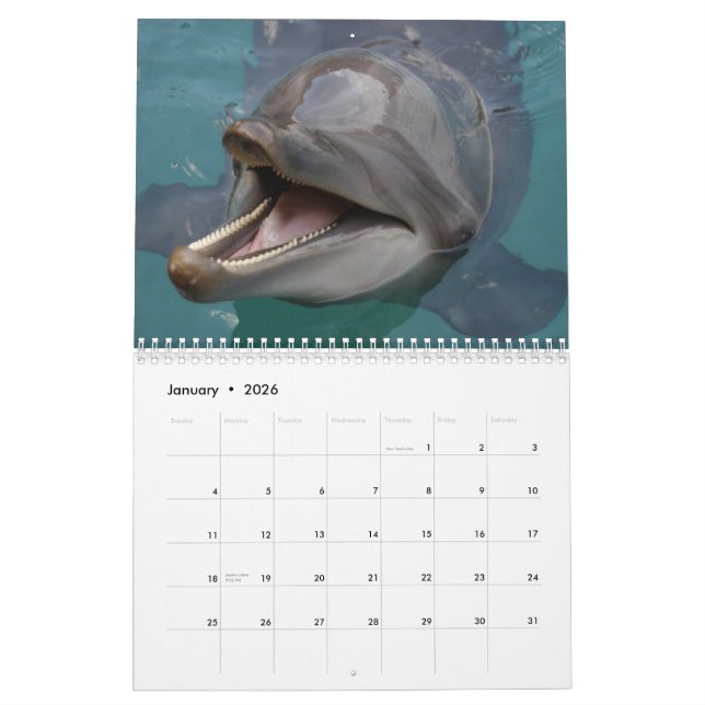 dolphins calendar (Jan 2026)