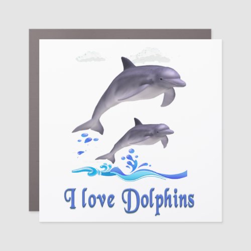 Dolphins Car Magnet