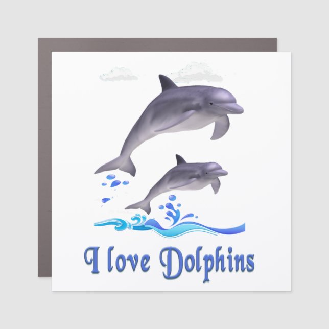Dolphins Car Magnet (Front)