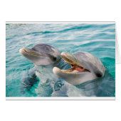 Dolphins Cards (Front Horizontal)