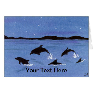 Dolphins Cards
