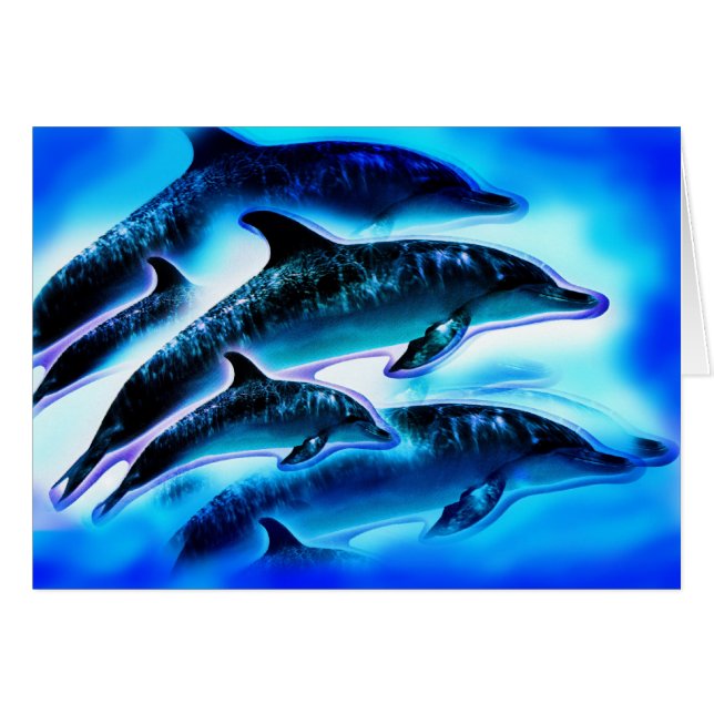 Dolphins Cards (Front Horizontal)