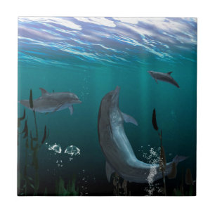 dolphins ceramic tile