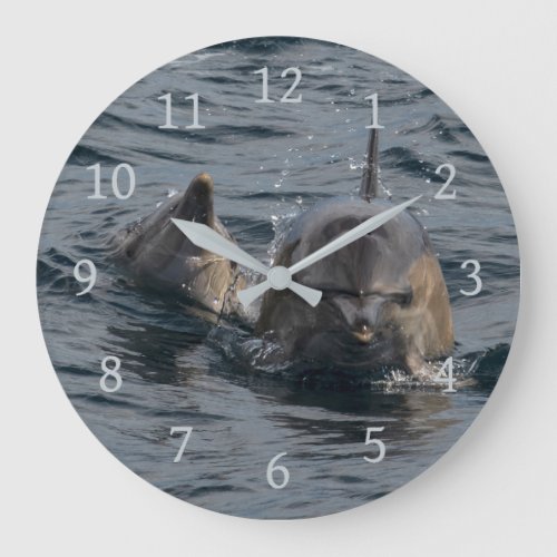 Dolphins Close_up Portrait Tasmania Australia Large Clock