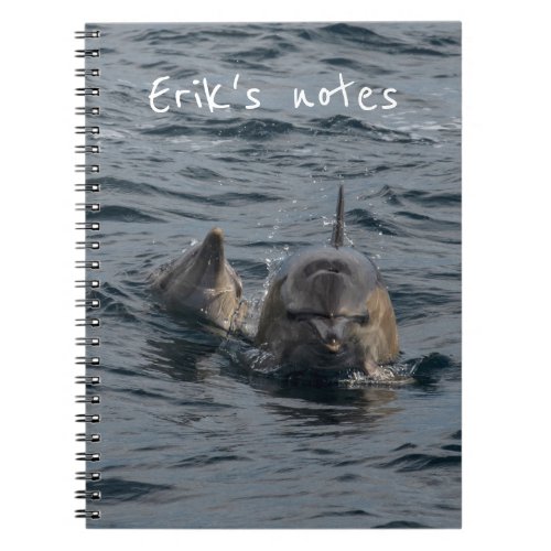 Dolphins Close_up Portrait Tasmania Australia Notebook