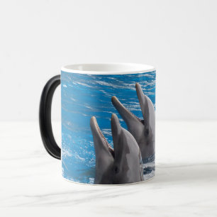Dolphins color morph mug
