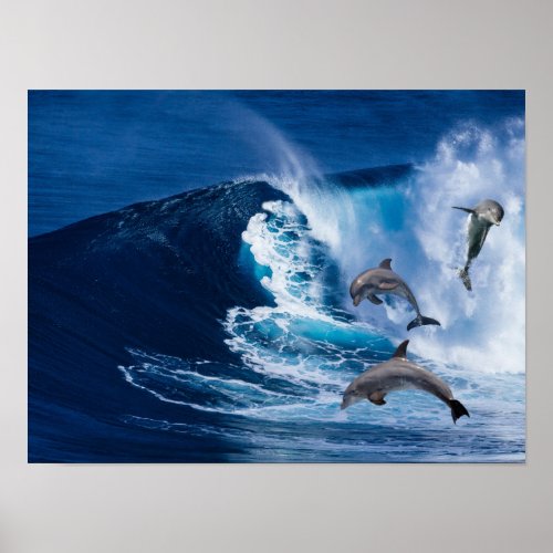 Dolphins Dance Poster