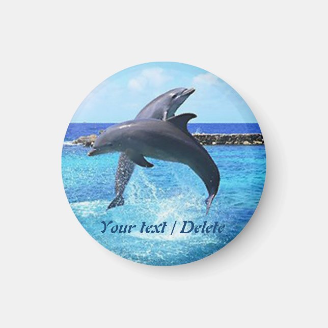 Dolphins dancing in the ocean magnet (Front)