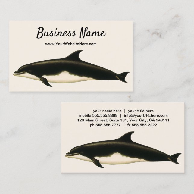 Dolphins Delphinus Tursio, Vintage Marine Animals Business Card (Front/Back)