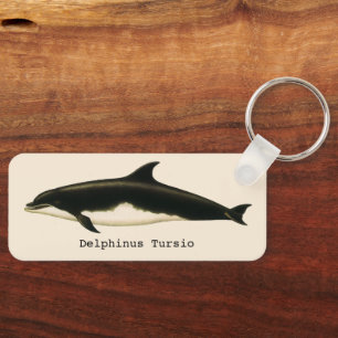 Dolphins Delphinus Tursio, Vintage Marine Animals Keychain
