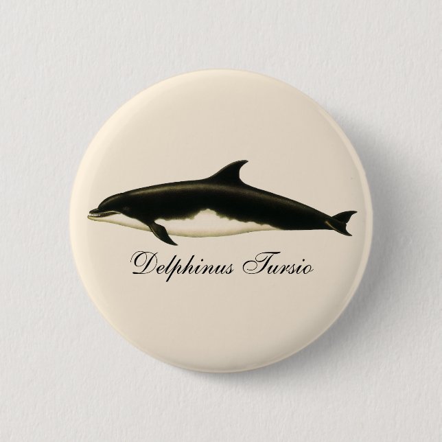 Dolphins Delphinus Tursio, Vintage Marine Animals Pinback Button (Front)