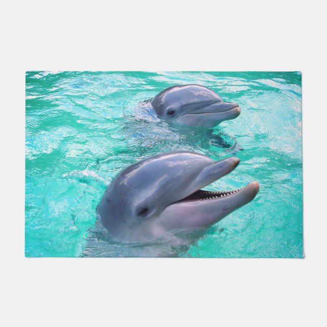 Dolphins Doormat (Front)