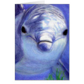 Dolphins Drawing Blue Dolphin Underwater Picture (Front)