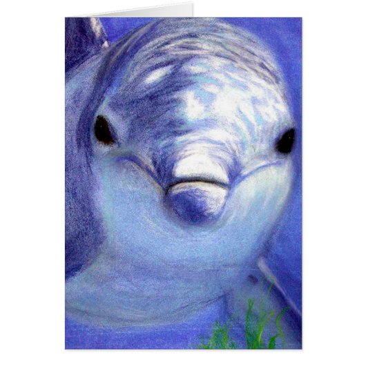 Dolphins Drawing Blue Dolphin Underwater Picture Cards (Front)
