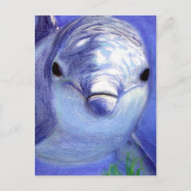 Dolphins Drawing Blue Dolphin Underwater Picture Postcard (Front)