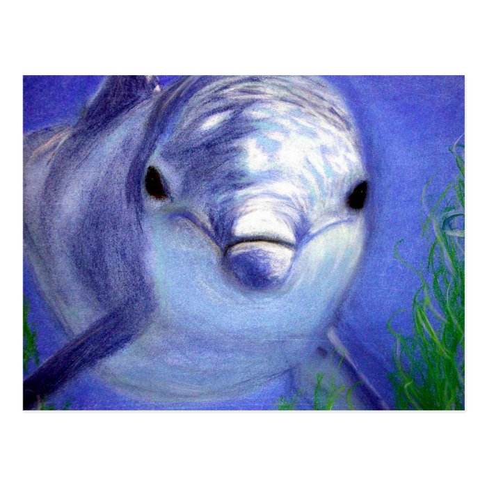 Dolphins Drawing Blue Dolphin Underwater Picture Postcard