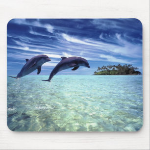 Dolphins Galore Mouse Pad