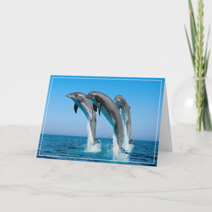 Dolphins Greeting Card | Zazzle