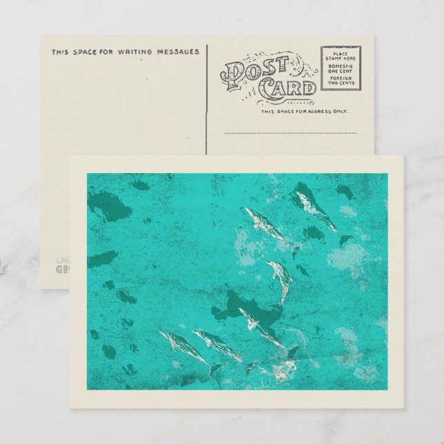 Dolphins in the Caribbean sea Postcard (Front/Back)