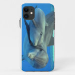 Dolphins Iphone Case at Zazzle