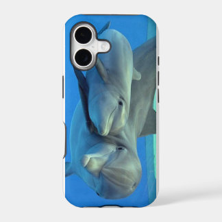 Dolphins iPhone Case