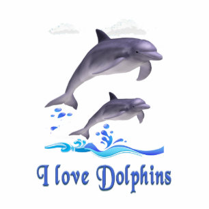 Dolphins items cutout