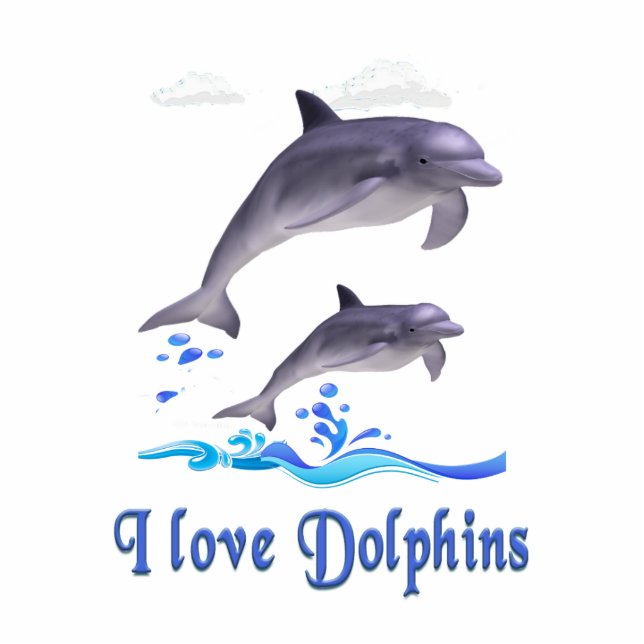 Dolphins items cutout (Front)