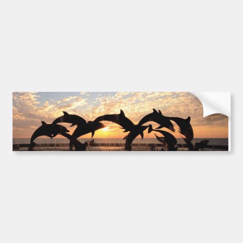 Dolphins jumping from the water at sunset bumper sticker