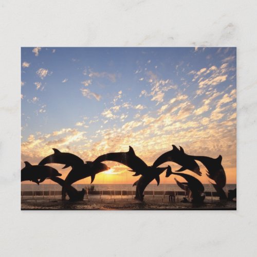 Dolphins jumping from the water at sunset postcard