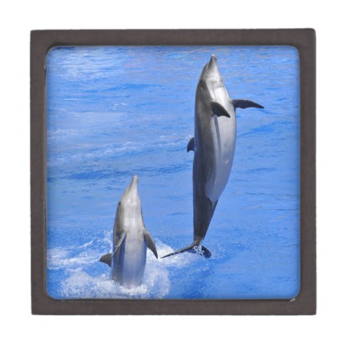Dolphins jumping out of water gift box