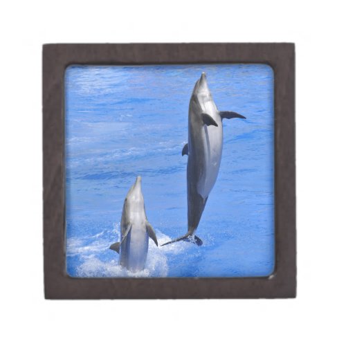 Dolphins jumping out of water gift box