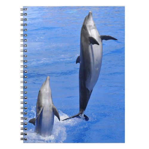 Dolphins jumping out of water notebook