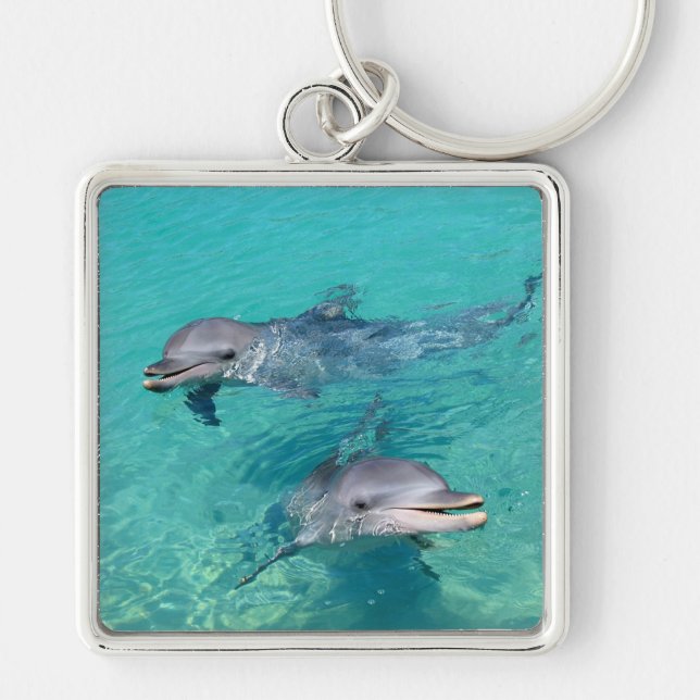 Dolphins Keychain (Front)
