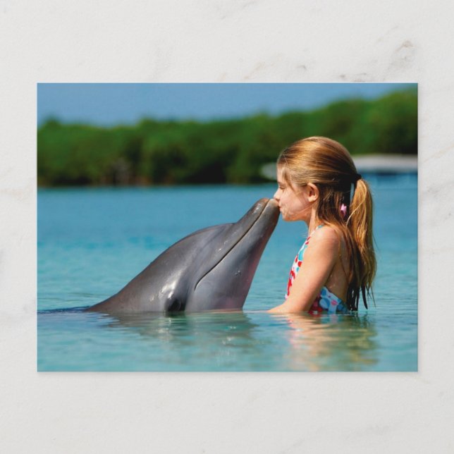 Dolphin's kiss postcard (Front)