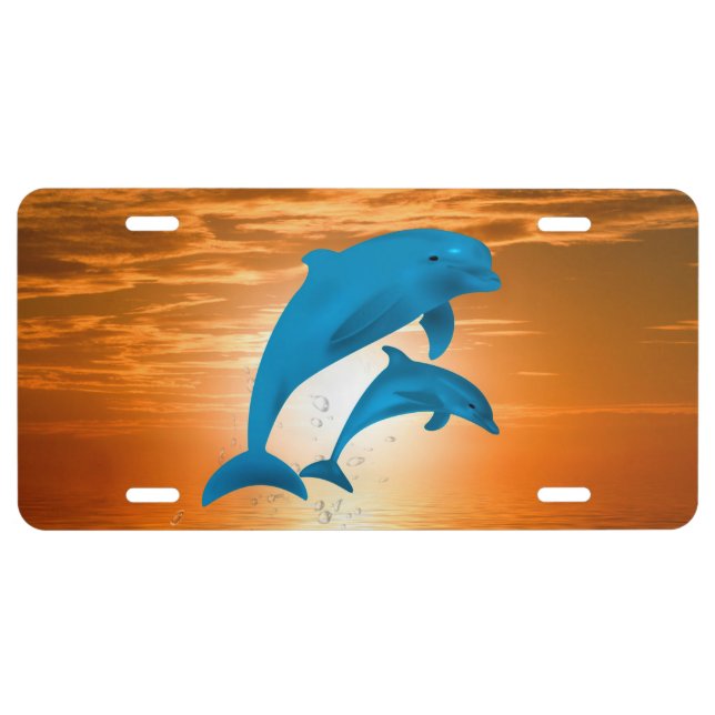 Dolphins License Plate (Front)