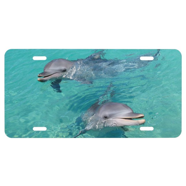 Dolphins License Plate (Front)