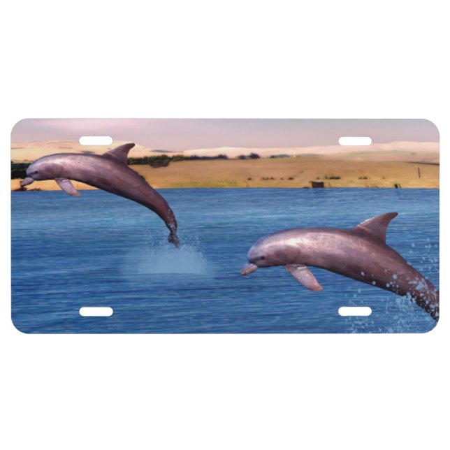 Dolphins License Plate (Front)