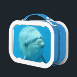 Dolphins Lunch Box<br><div class="desc">Cute bottlenose dolphin swimming along underwater.</div>