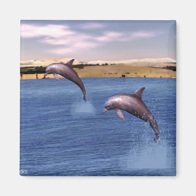 Dolphins Magnet (Front)