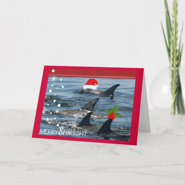 dolphins Merry and bright happy holiday Card (Front)