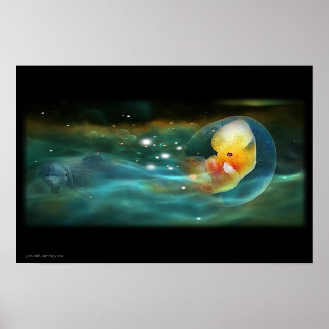 DOLPHINS MIND POSTER (Front)