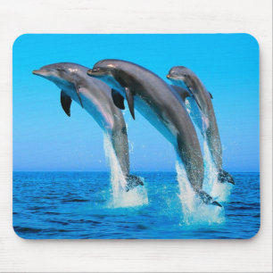 Dolphins Mouse Pad